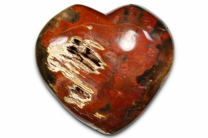 Polished Triassic Petrified Wood Heart - Madagascar #381870
